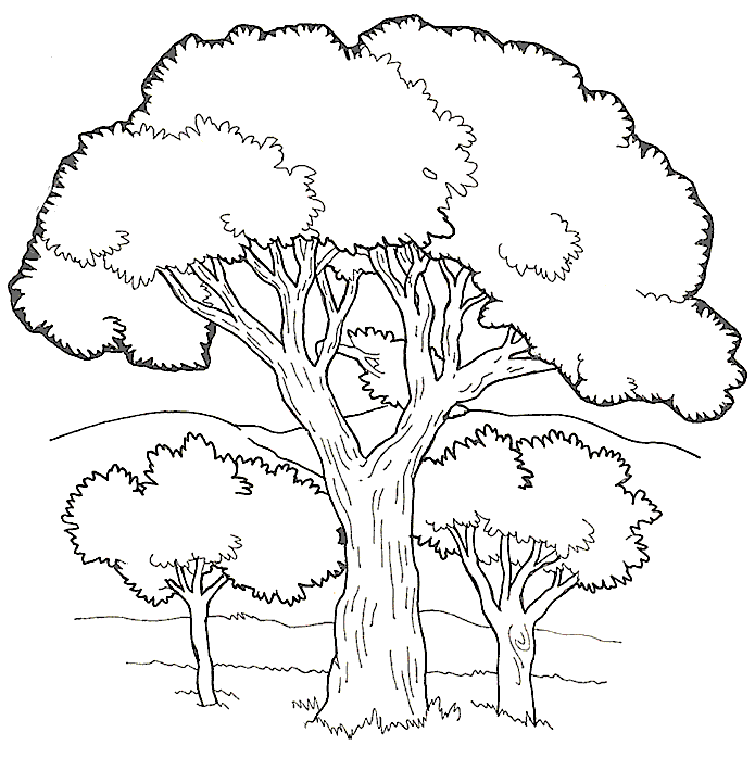 tree-coloring-pages29